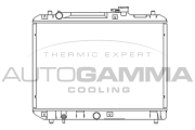 102320 Chladič motora AUTOGAMMA
