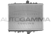 102860 Chladič motora AUTOGAMMA