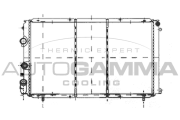 103002 Chladič motora AUTOGAMMA