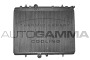 103367 Chladič motora AUTOGAMMA