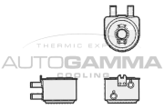 104785 Chladič motorového oleja AUTOGAMMA
