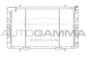 105566 Chladič motora AUTOGAMMA