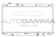 107218 Chladič motora AUTOGAMMA