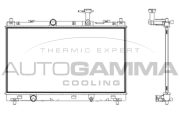 107848 Chladič motora AUTOGAMMA
