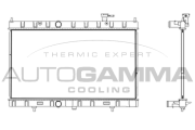 107884 Chladič motora AUTOGAMMA