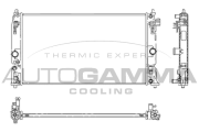 107985 Chladič motora AUTOGAMMA