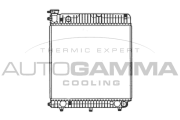 402008 Chladič motora AUTOGAMMA