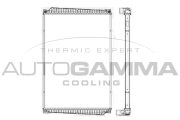 405012 Chladič motora AUTOGAMMA