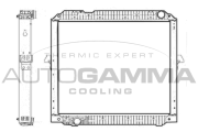 405534 Chladič motora AUTOGAMMA