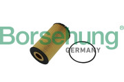 B10518 Olejový filter Borsehung