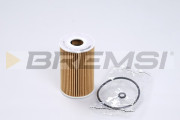 FL0255 Olejový filter BREMSI