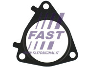 FT49546 Tesnenie, AGR-Ventil FAST