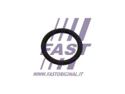 FT50601 Tesnenie, AGR-Ventil FAST
