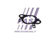 FT50604 Tesnenie, AGR-Ventil FAST
