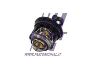 FT58030 Termostat chladenia FAST