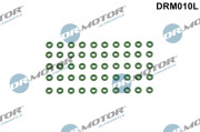DRM010L Tesniaci krúżok drżiaka trysky Dr.Motor Automotive