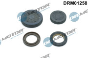 DRM01258 Záslepky montáżnych otvorovhriadeľa vahadla Dr.Motor Automotive