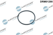 DRM01290 Tesniaci krúżok, napínač rozvodovej reżaze Dr.Motor Automotive