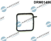 DRM01456 Tesnenie, Trubka chladenia Dr.Motor Automotive