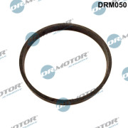 DRM050 Tesnenie, AGR-Ventil Dr.Motor Automotive