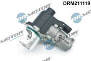 DRM211119 AGR - Ventil Dr.Motor Automotive