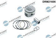 DRM21606 Piest Dr.Motor Automotive