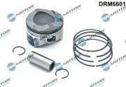 DRM6601 Piest Dr.Motor Automotive
